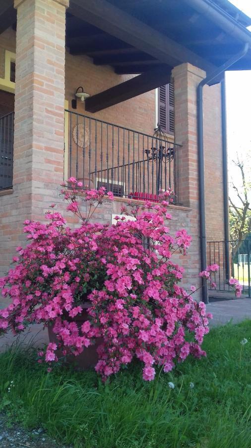 Albergo Da Ca' Vecia Spilamberto Buitenkant foto